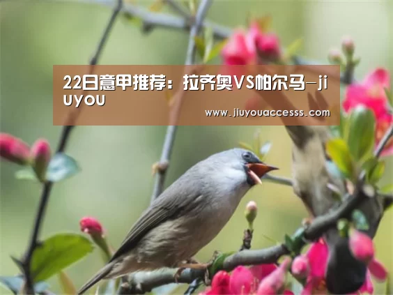 22日意甲推荐:拉齐奥VS帕尔马-jiuyou(图4) 九游官网唯一入口